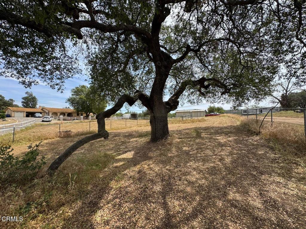 19163 Paradise Mountain Road Valley Center, CA 92082 - Photo 47 of 74 a view of dirt yard with a tree