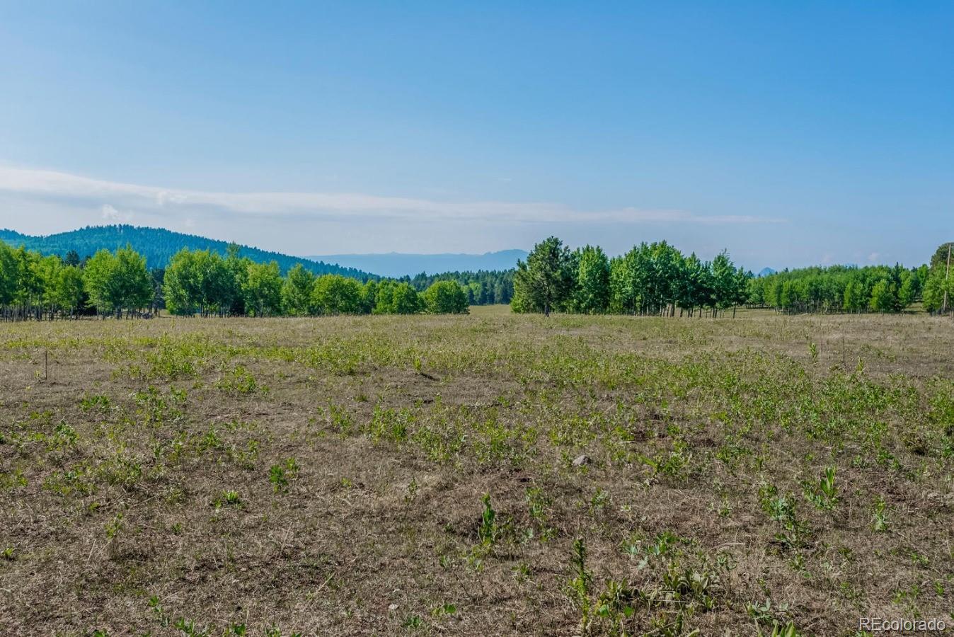 12802 Upper Ridge Road Conifer, CO 80433 - Photo 25 of 27 a view of a field with trees in background
