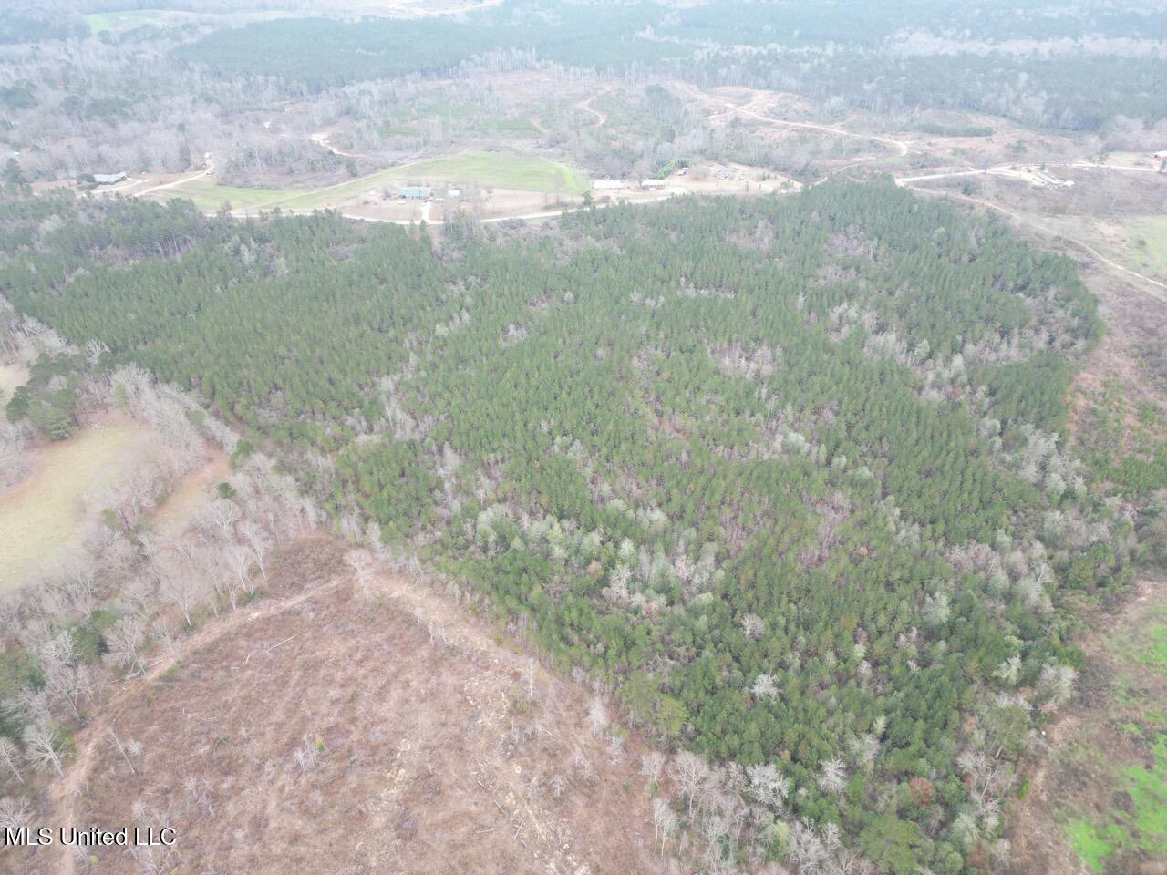 1847 Smith County Road 123 Magee, MS 39111 - Photo 14 of 31 DJI_0050 Large