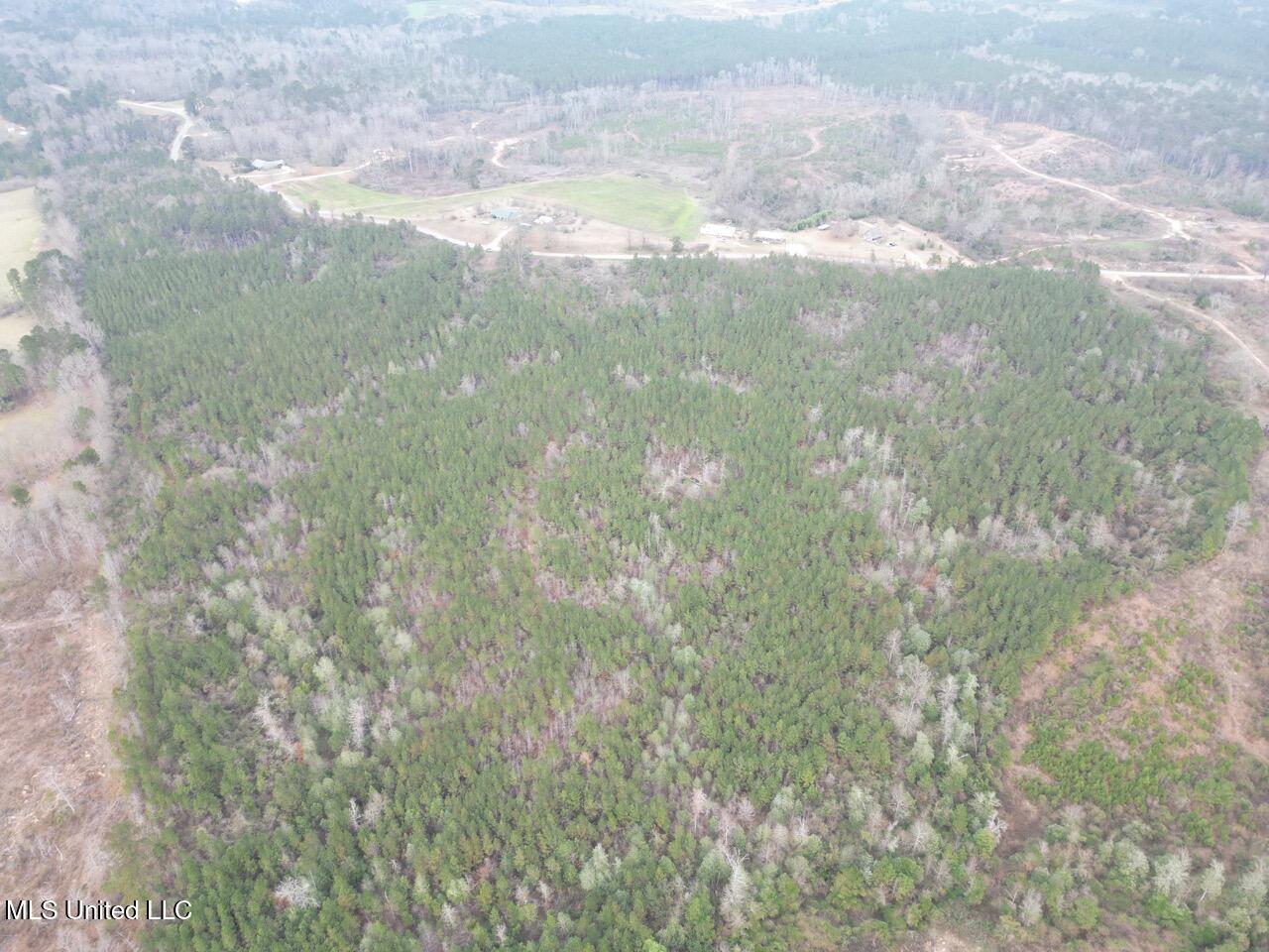 1847 Smith County Road 123 Magee, MS 39111 - Photo 15 of 31 DJI_0051 Large