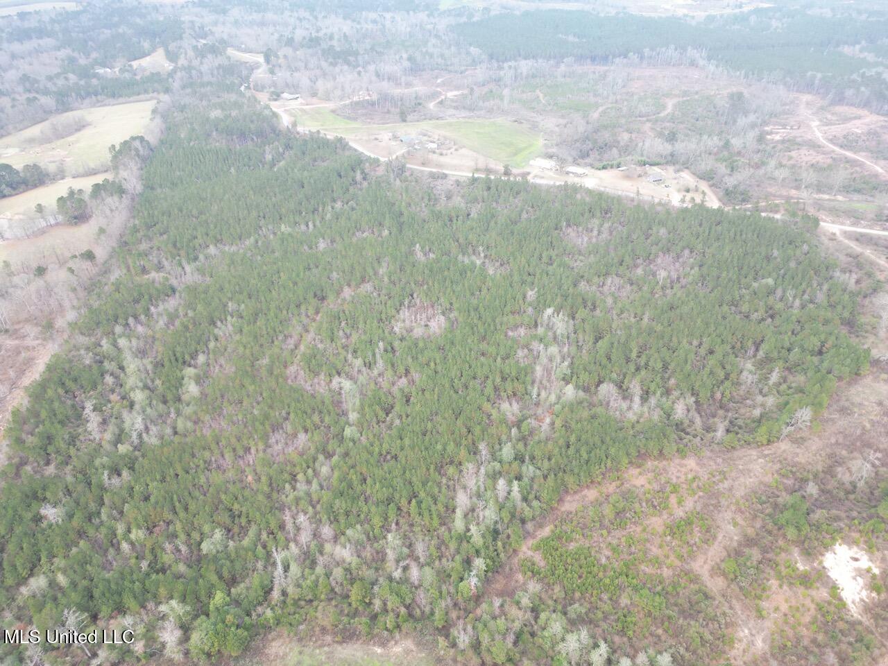 1847 Smith County Road 123 Magee, MS 39111 - Photo 16 of 31 DJI_0052 Large