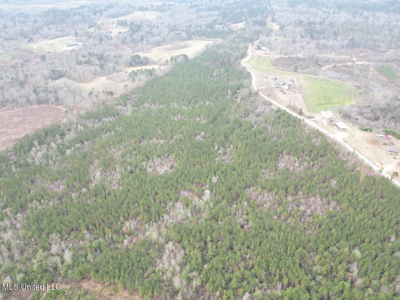 1847 Smith County Road 123 Magee, MS 39111 - Photo 18 of 31 DJI_0054 Large