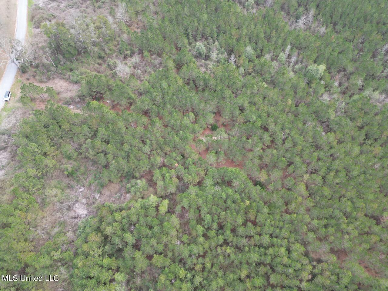 1847 Smith County Road 123 Magee, MS 39111 - Photo 23 of 31 DJI_0059 Large