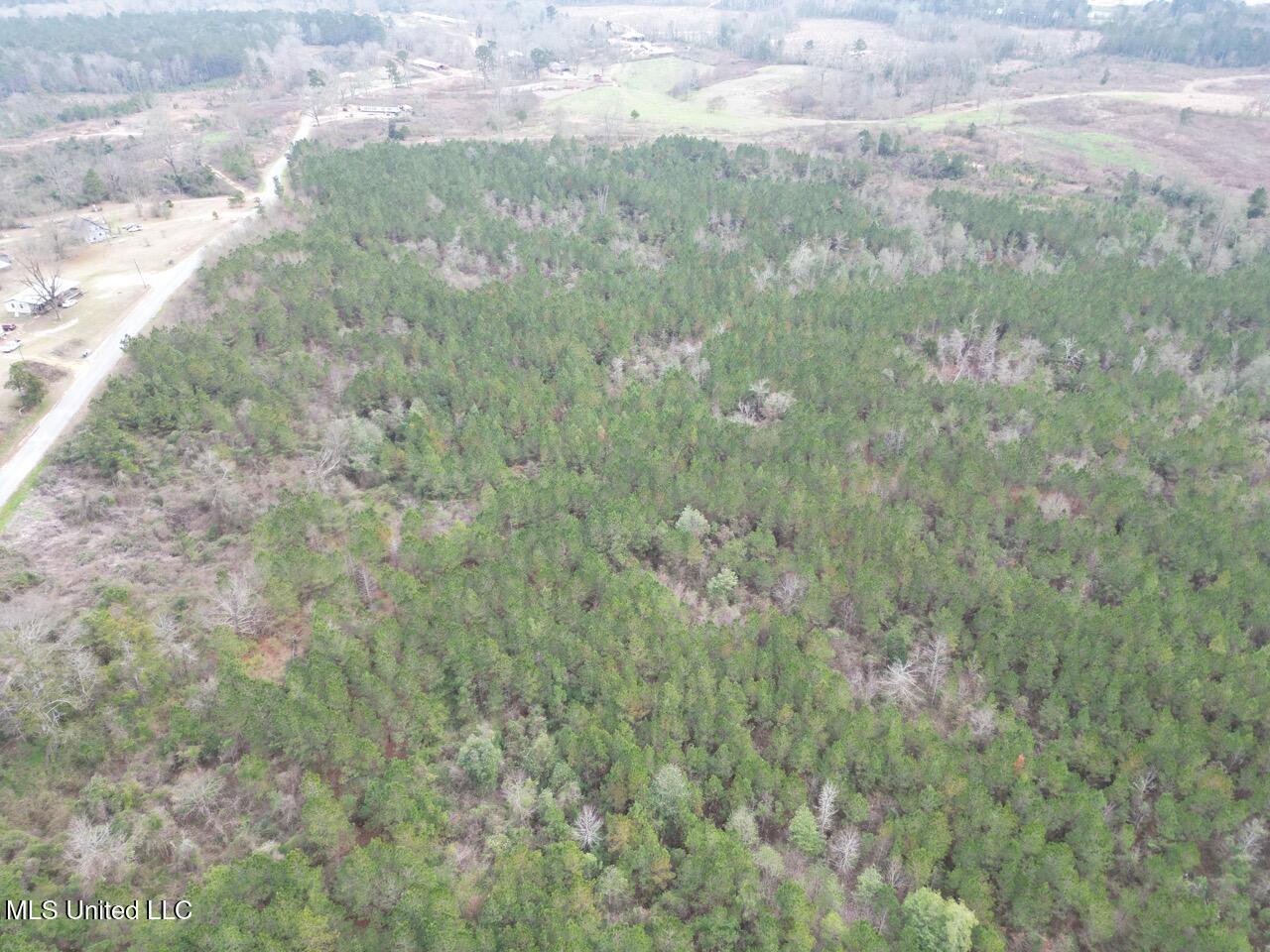 1847 Smith County Road 123 Magee, MS 39111 - Photo 24 of 31 DJI_0060 Large