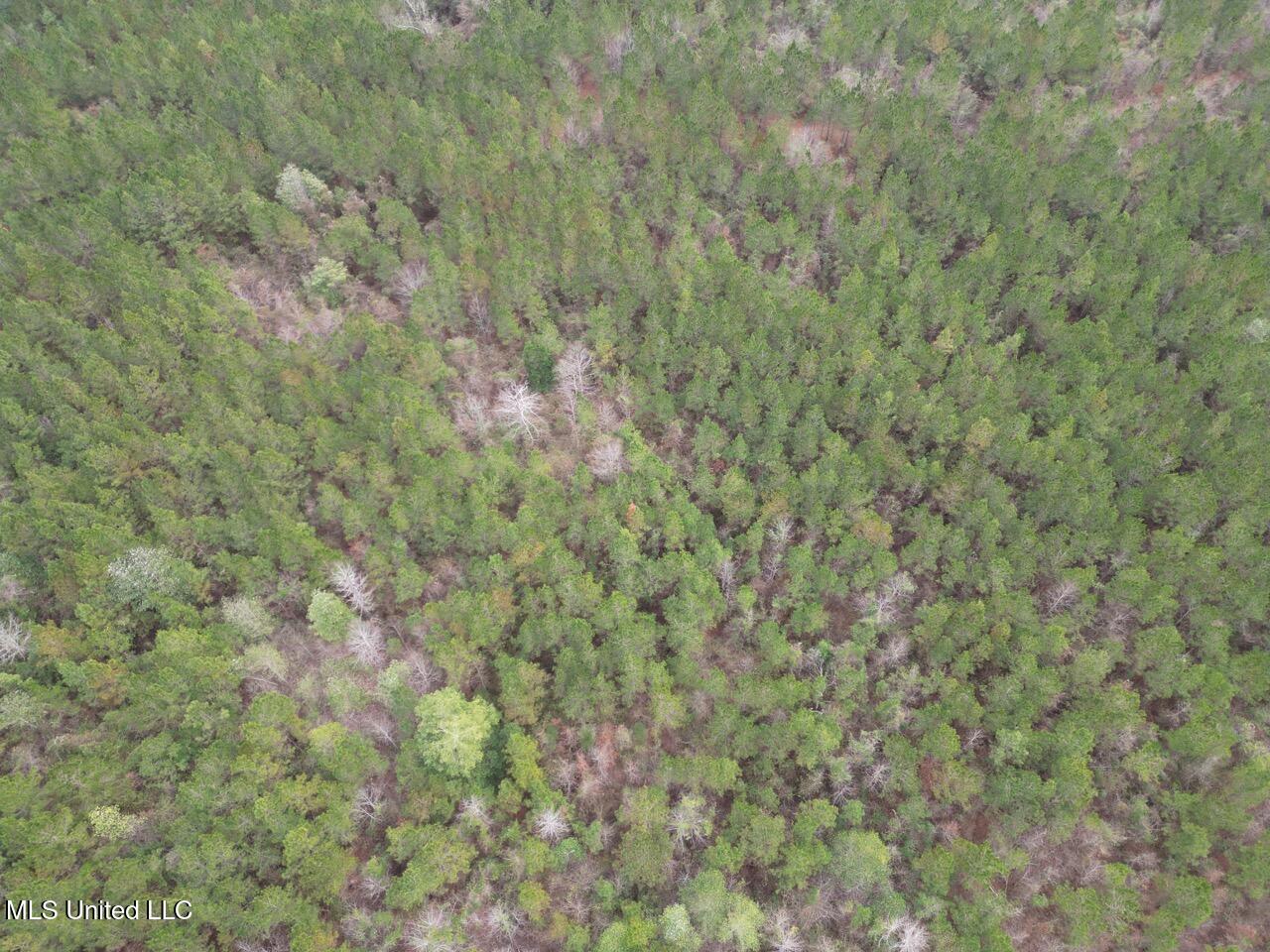 1847 Smith County Road 123 Magee, MS 39111 - Photo 25 of 31 DJI_0061 Large