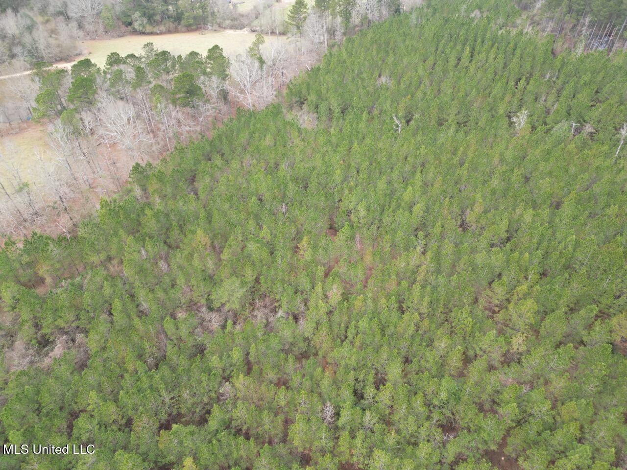 1847 Smith County Road 123 Magee, MS 39111 - Photo 26 of 31 DJI_0062 Large