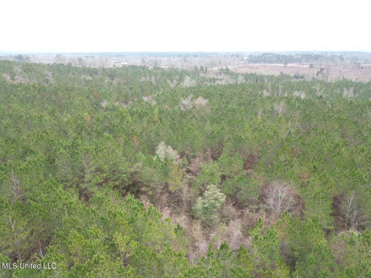 1847 Smith County Road 123 Magee, MS 39111 - Photo 27 of 31 DJI_0063 Large