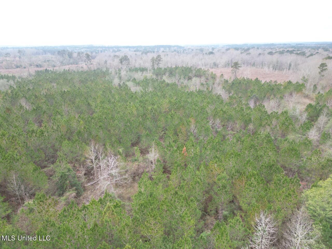 1847 Smith County Road 123 Magee, MS 39111 - Photo 28 of 31 DJI_0064 Large