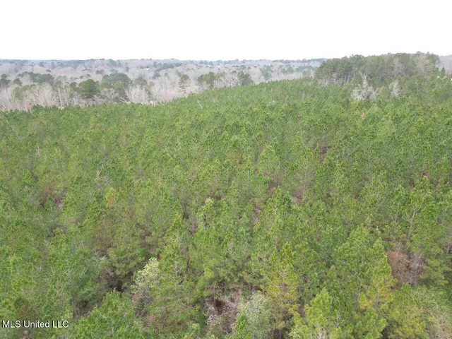 $78,900 | 1847 Smith County Road 123, Magee, MS 39111