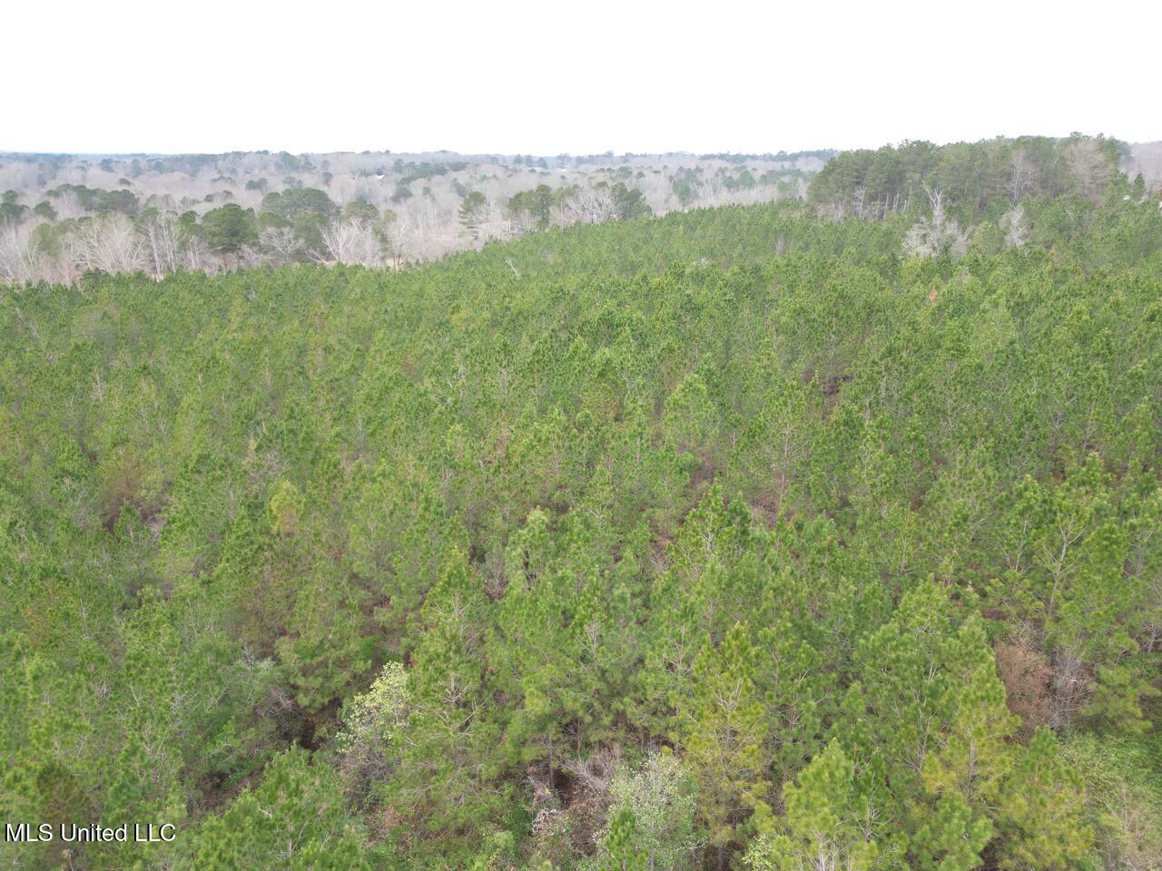 1847 Smith County Road 123 Magee, MS 39111 - Photo 29 of 31 DJI_0065 Large