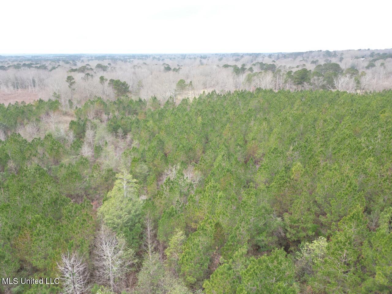 1847 Smith County Road 123 Magee, MS 39111 - Photo 30 of 31 DJI_0066 Large