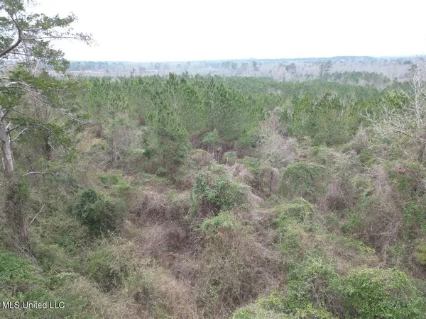 $59,000 | 1847 Smith County Road 123, Magee, MS 39111