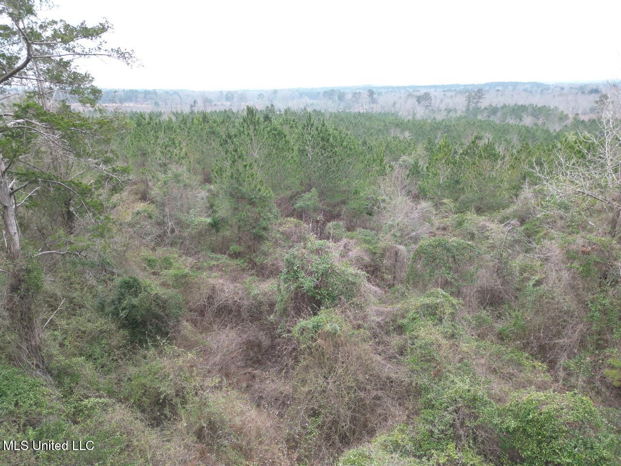 1847 Smith County Road 123 Magee, MS 39111 - Photo 31 of 31 DJI_0067 Large