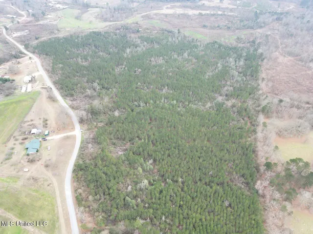 $78,900 | 1847 Smith County Road 123, Magee, MS 39111