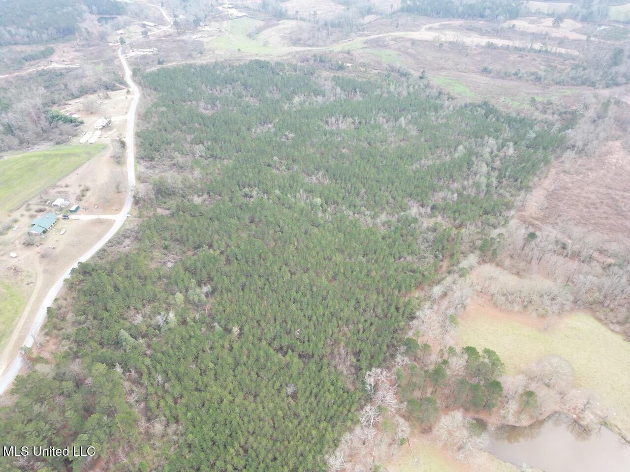 1847 Smith County Road 123 Magee, MS 39111 - Photo 10 of 31 DJI_0046 Large