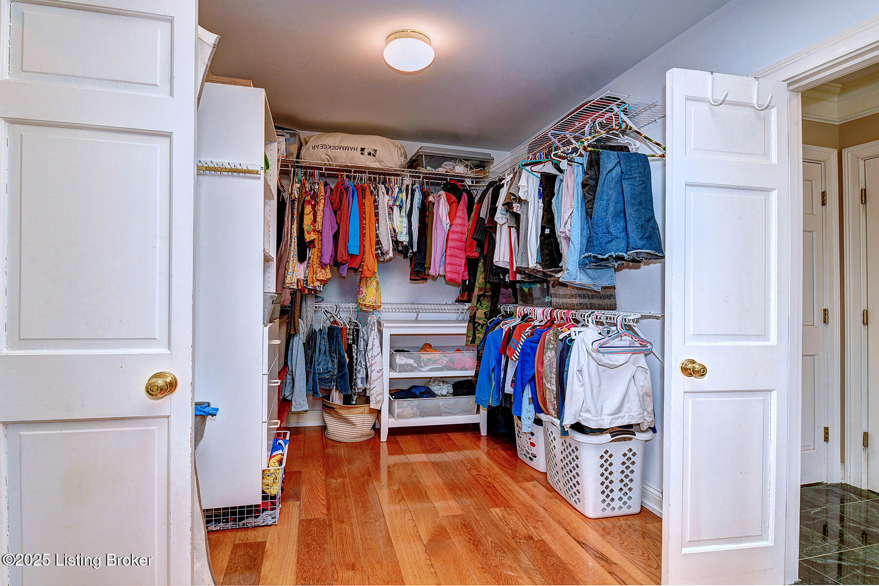 4226 Dolphin Road Louisville, KY 40220 - Photo 64 of 125 2nd Floor Primary HUGE Walk-in Closet with skylight