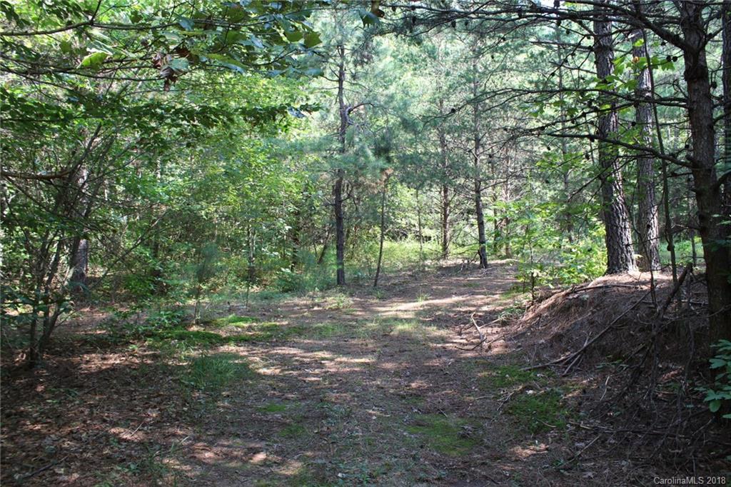0 Coolbrook Road Union Grove, NC 28689 - Photo 3 of 35