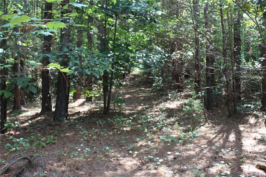 0 Coolbrook Road Union Grove, NC 28689 - Photo 7 of 35