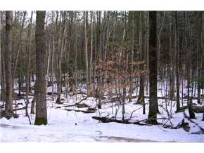 0 Horne Road Warner, NH 03278 - Photo 2 of 7