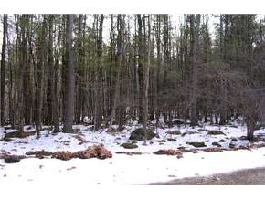 0 Horne Road Warner, NH 03278 - Photo 4 of 7