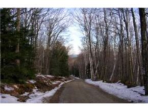0 Horne Road Warner, NH 03278 - Photo 7 of 7