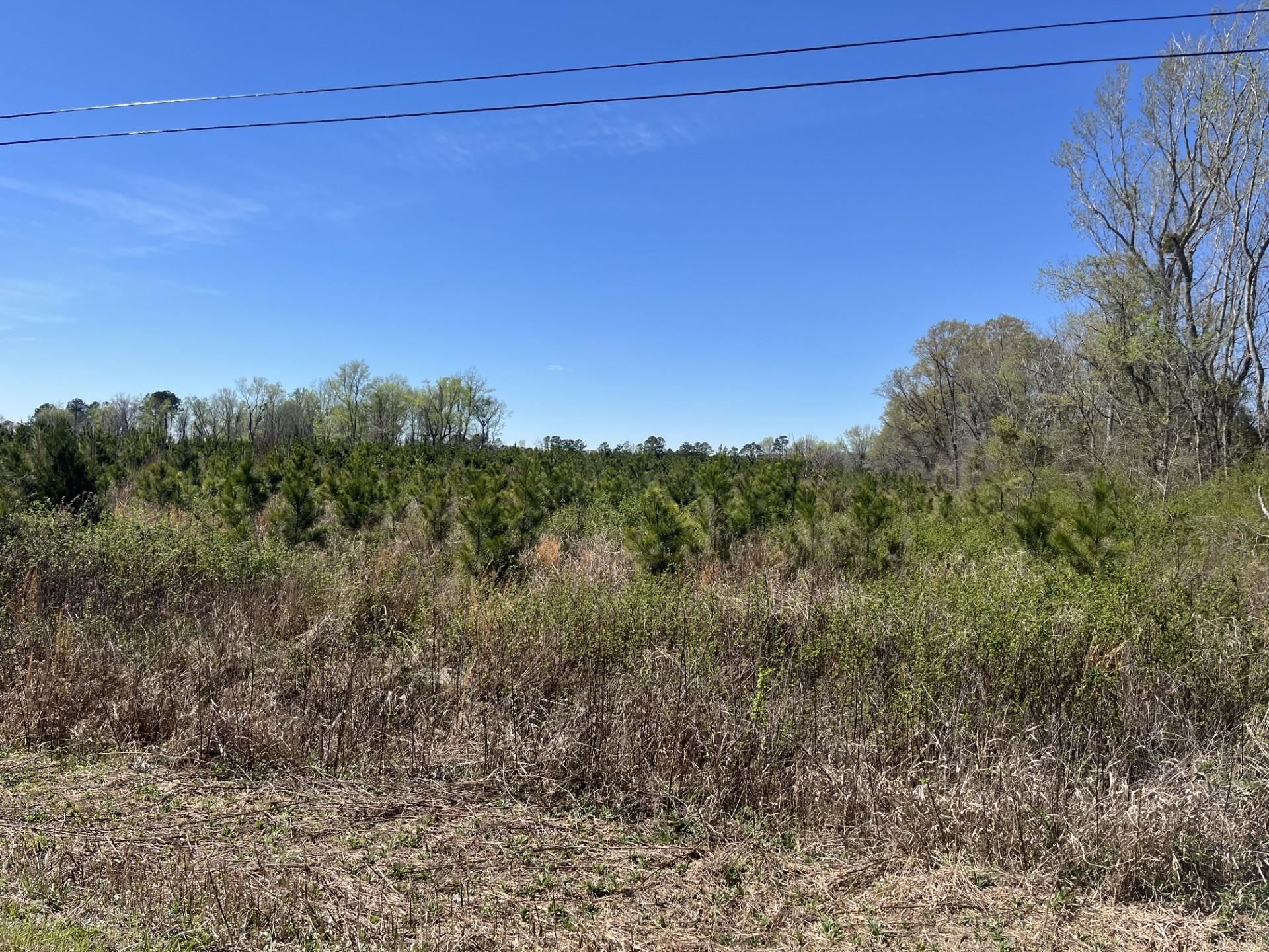 Attadale Road Blenheim, SC 29516 - Photo 2 of 9