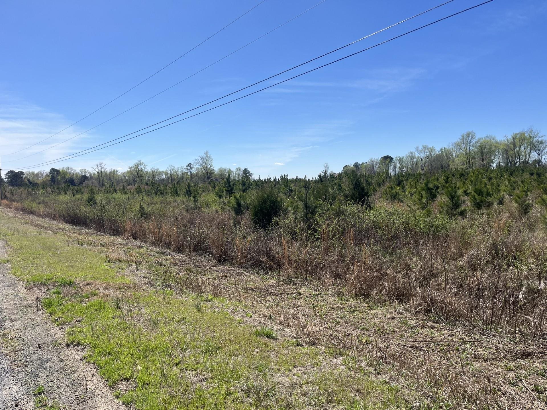 Attadale Road Blenheim, SC 29516 - Photo 3 of 9