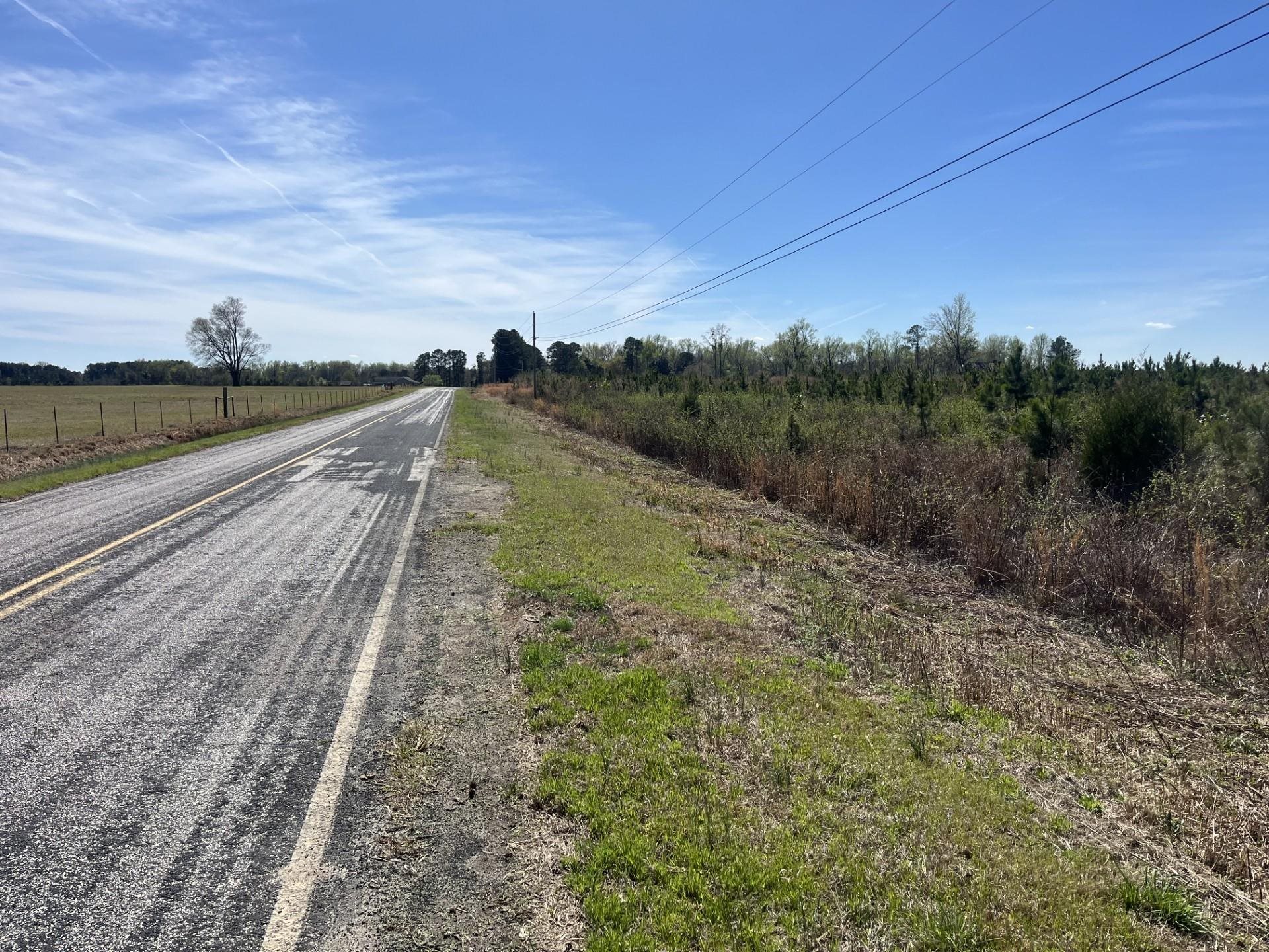 Attadale Road Blenheim, SC 29516 - Photo 4 of 9