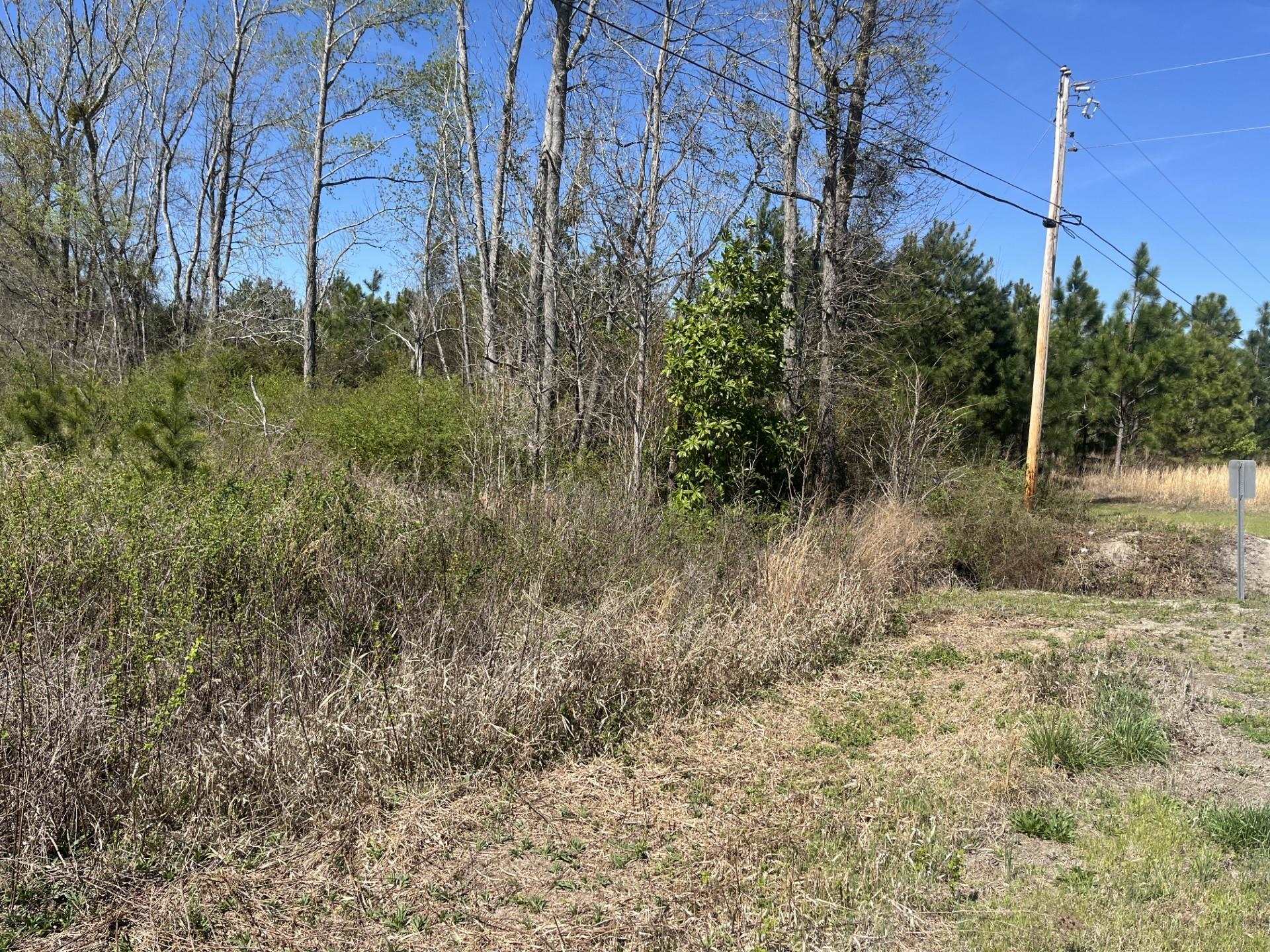 Attadale Road Blenheim, SC 29516 - Photo 5 of 9