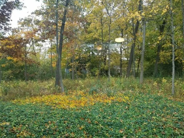 1001 Hillside Road Northbrook, IL 60062 - Photo 14 of 18