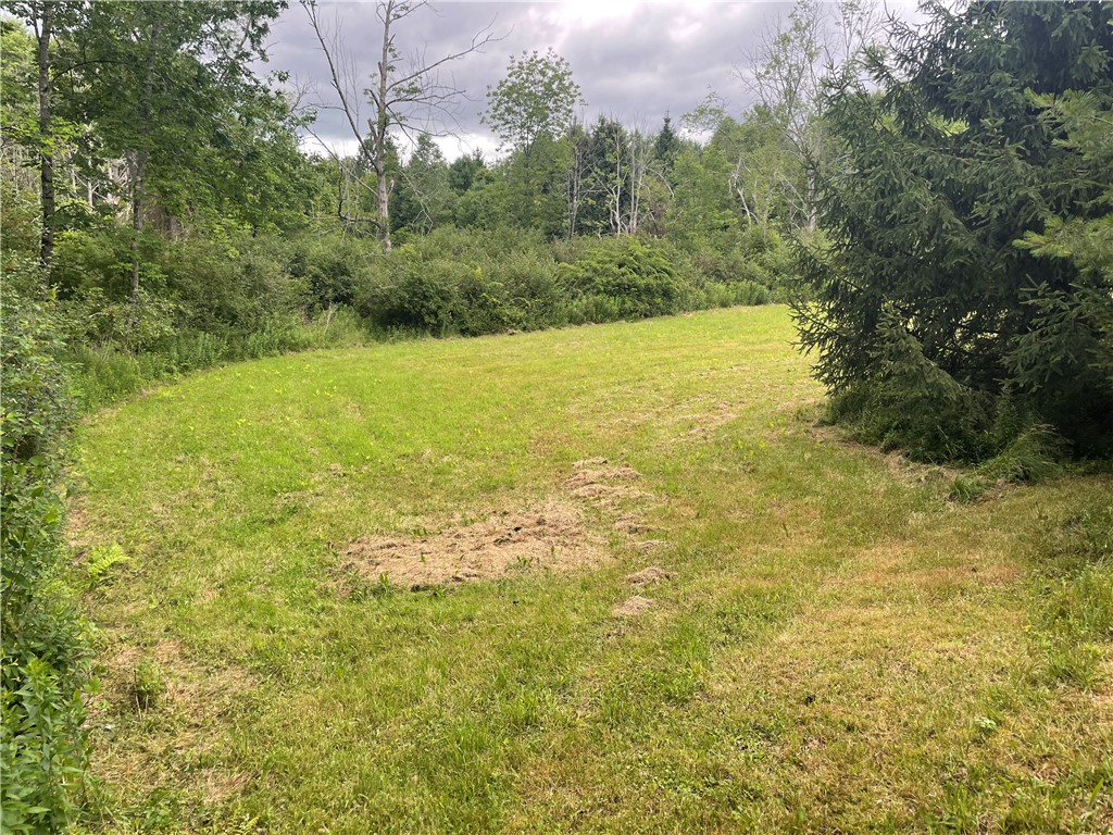 619 Town Line Road German, NY 13801 - Photo 14 of 38 Gallery Image 14
