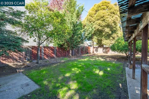 a view of a yard with plants and a bench