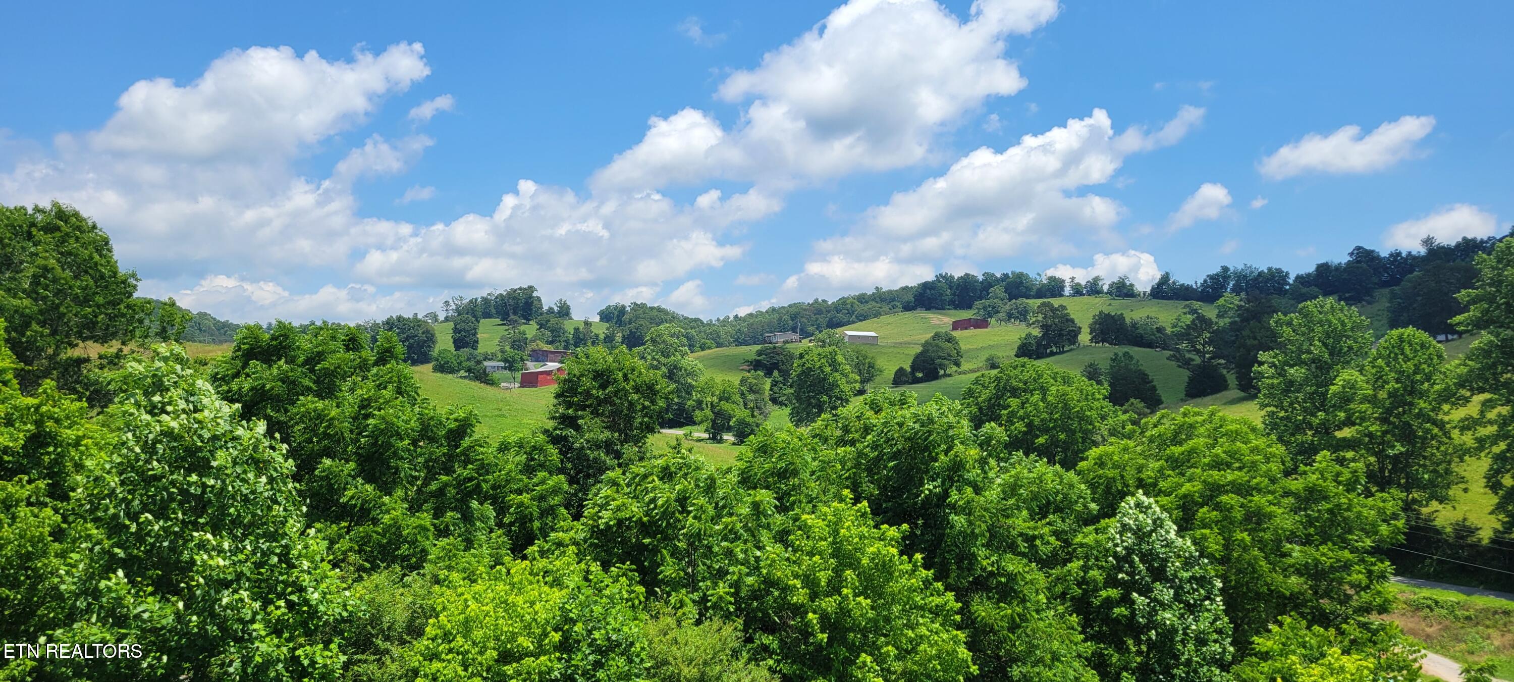 151 Rolen Road New Tazewell, TN 37825 - Photo 20 of 38 20