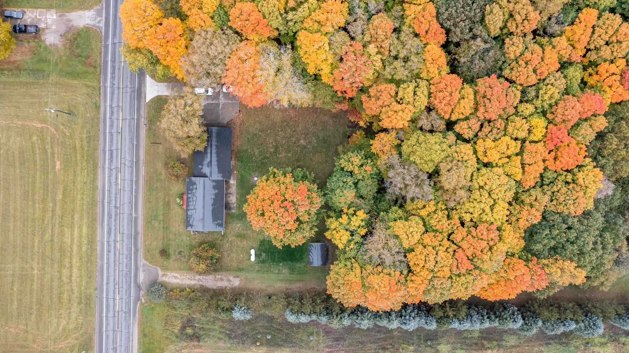 9297 South Winn Road Shepherd, MI 48883 - Photo 17 of 22