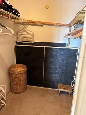 a view of a swimming pool with a lawn chairs and palm tree