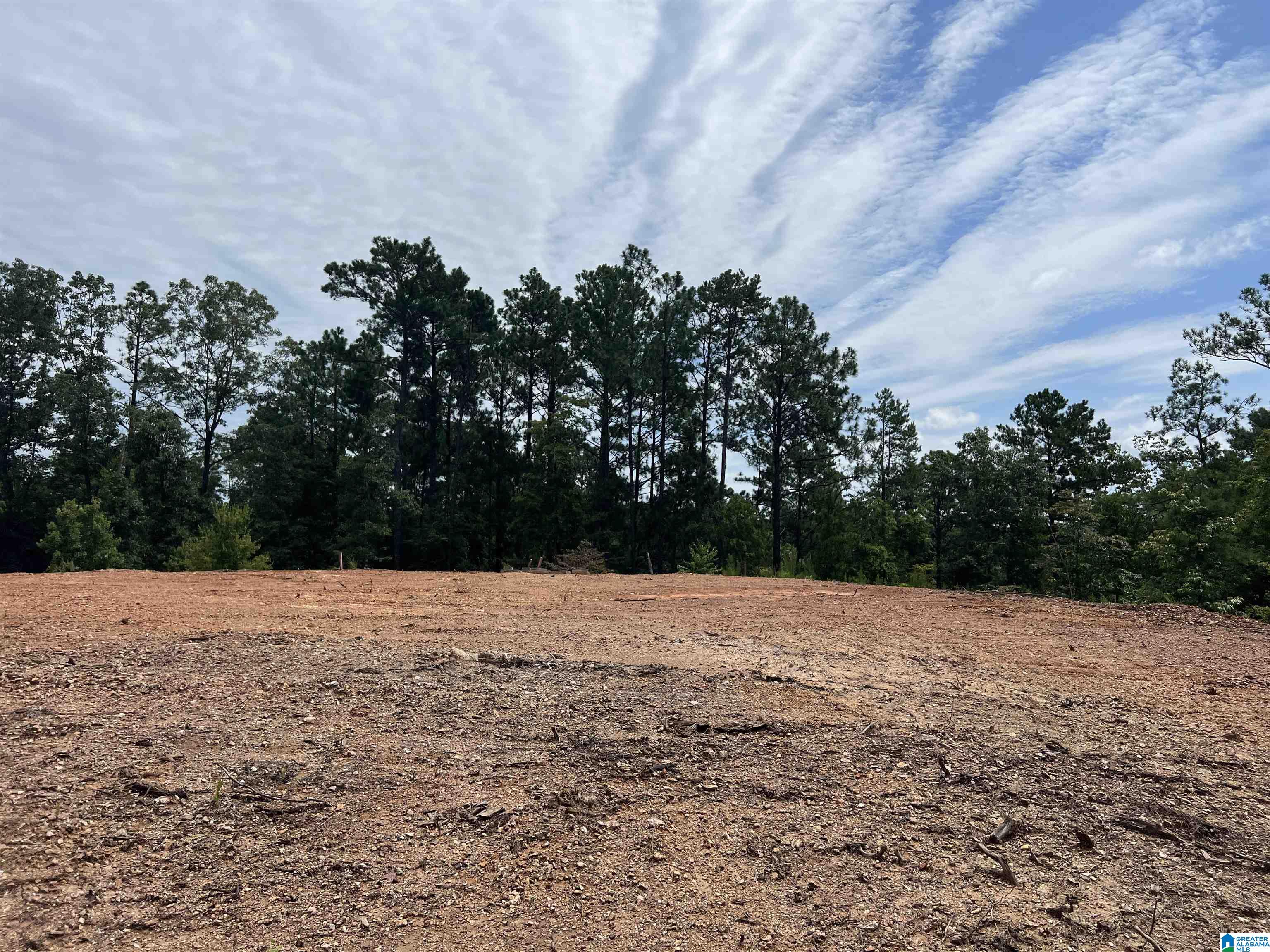 0 County Road 188 Clanton, AL 35046 - Photo 2 of 20