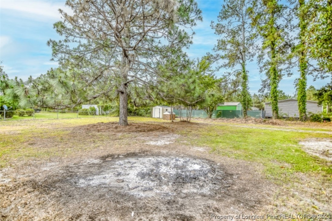 690 Ballance Farm Road St. Pauls, NC 28384 - Photo 25 of 26 Gallery Image 25