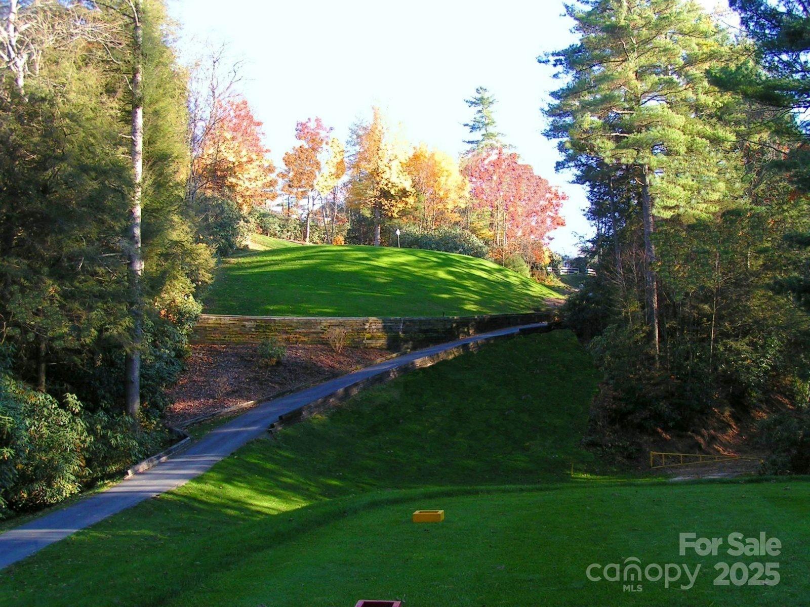 47 Hornbeam Road, Unit 234 Newland, NC 28657 - Photo 9 of 9 a view of a park with large trees
