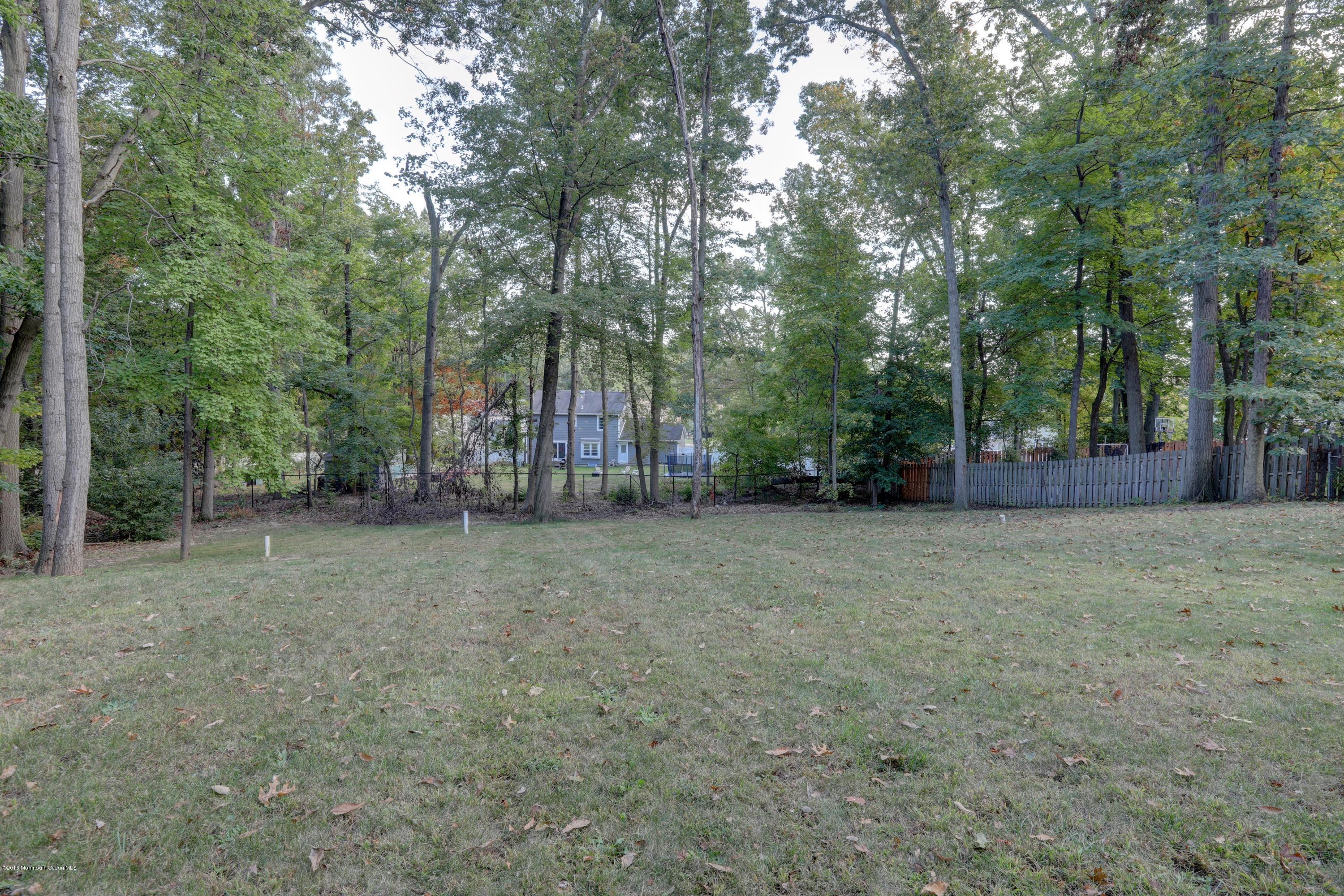 471 Union Hill Road Englishtown, NJ 07726 - Photo 26 of 27 027_Backyard