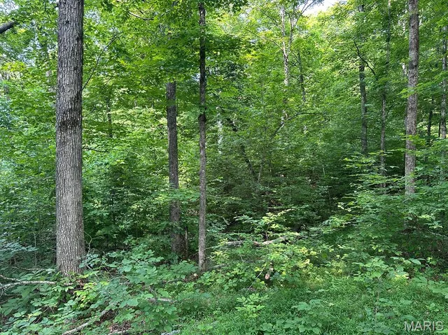 $499,000 | 72 War Bluff Drive, Golconda, IL 62938