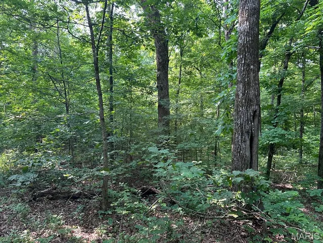 $499,000 | 72 War Bluff Drive, Golconda, IL 62938