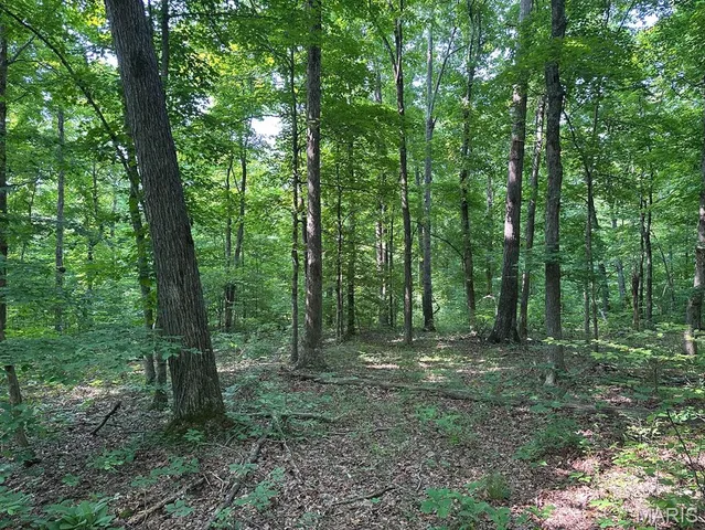 $499,000 | 72 War Bluff Drive, Golconda, IL 62938