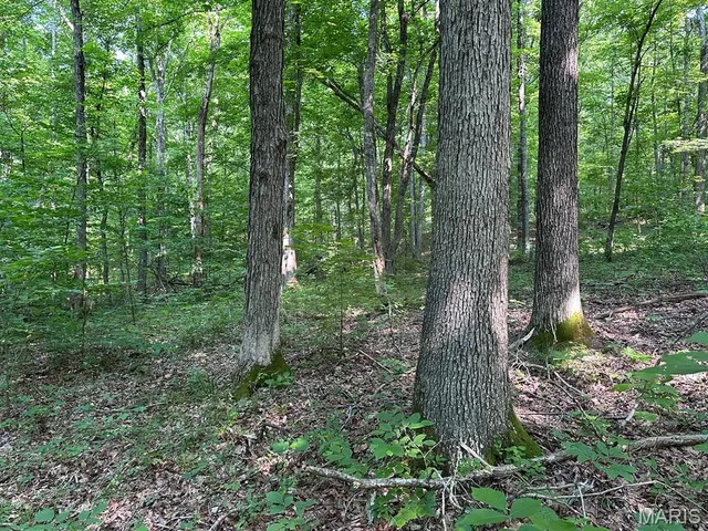 $499,000 | 72 War Bluff Drive, Golconda, IL 62938