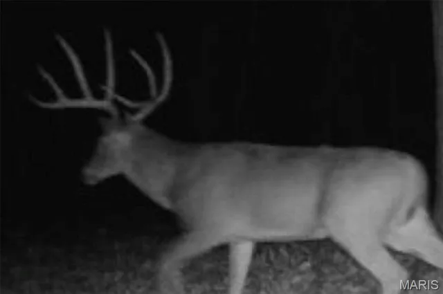 $499,000 | 72 War Bluff Drive, Golconda, IL 62938