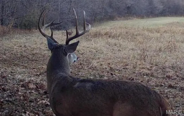 $499,000 | 72 War Bluff Drive, Golconda, IL 62938