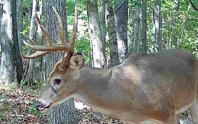 $499,000 | 72 War Bluff Drive, Golconda, IL 62938