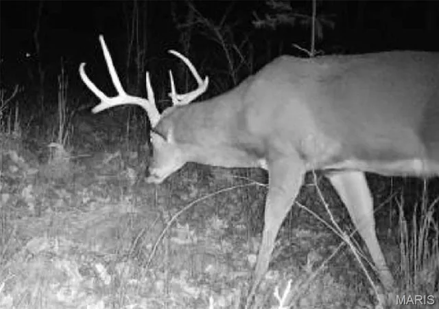 $499,000 | 72 War Bluff Drive, Golconda, IL 62938