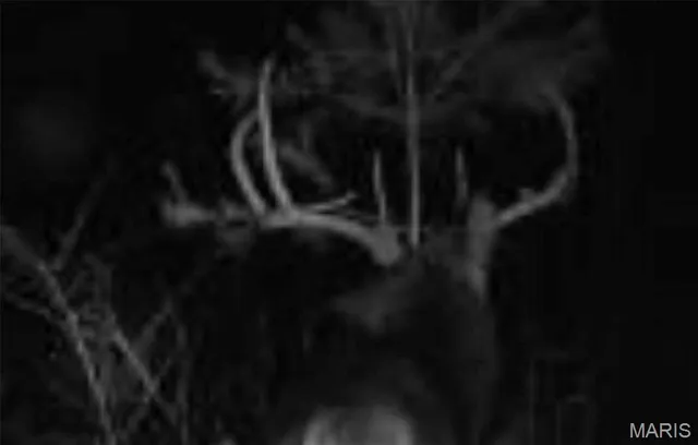 $499,000 | 72 War Bluff Drive, Golconda, IL 62938