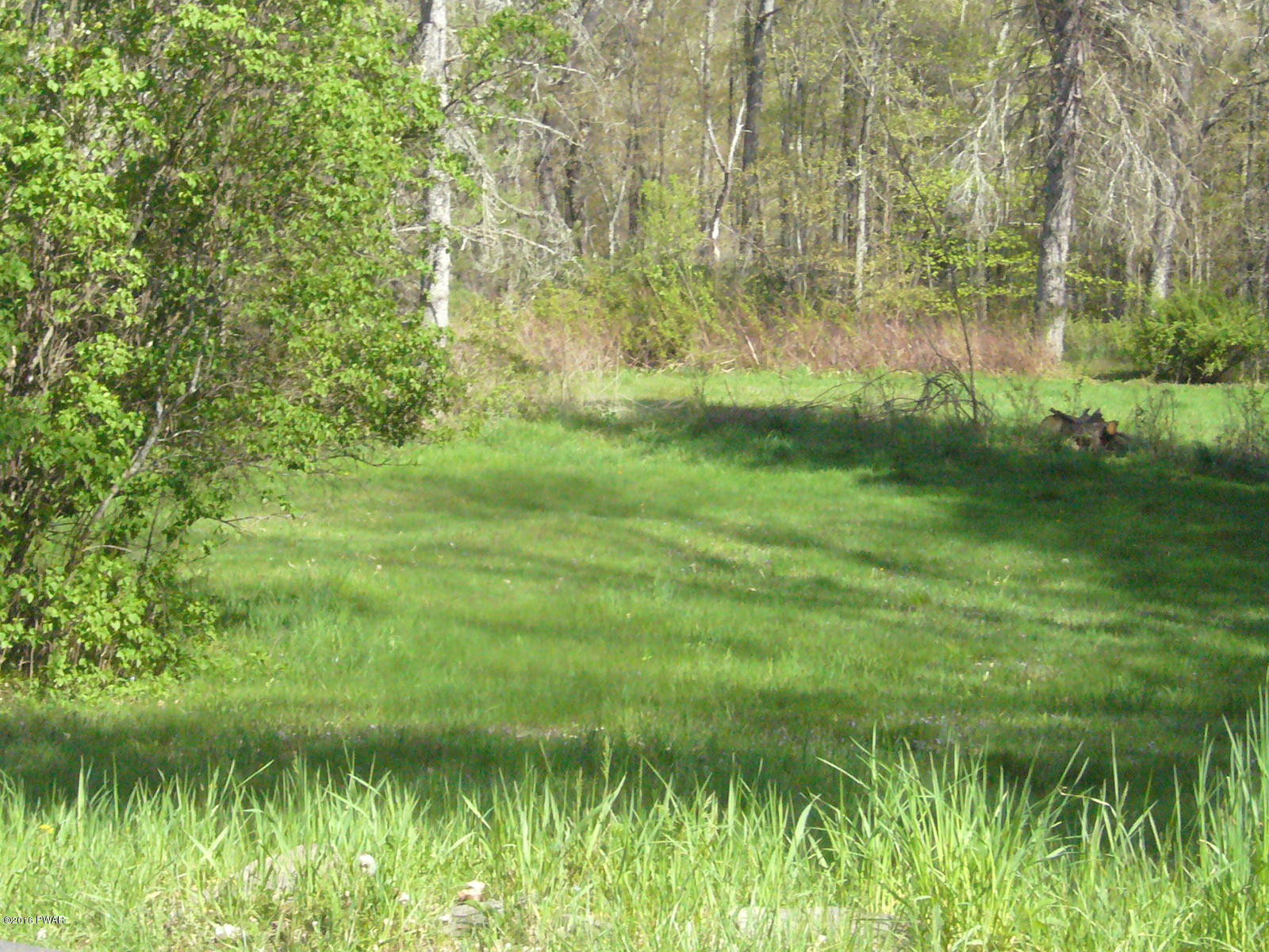 1736 O O&W Road Starlight, PA 18461 - Photo 12 of 41