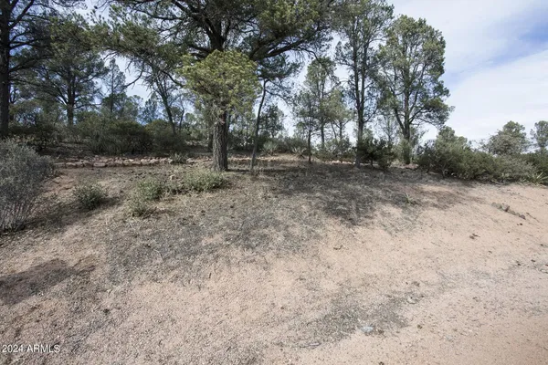 a view of backyard with green space